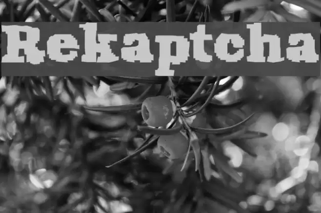 Rekaptcha Font examples