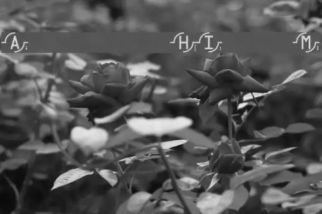 Rekkoy Schriftart examples