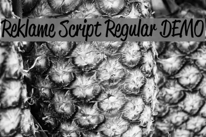 Reklame Script Regular DEMO Font examples