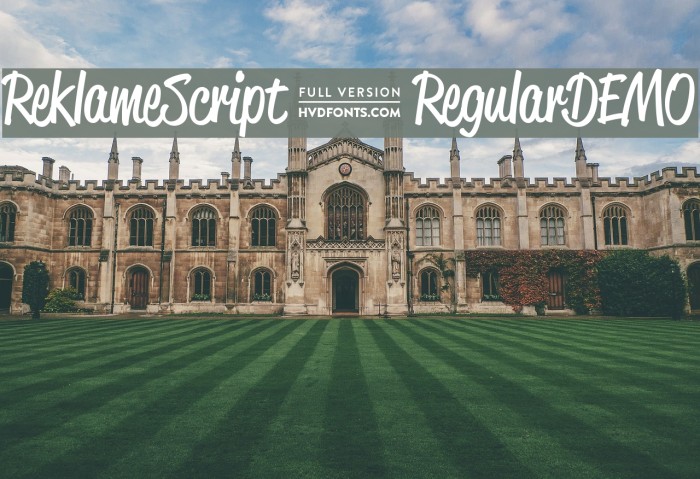 ReklameScript-RegularDEMO Font examples