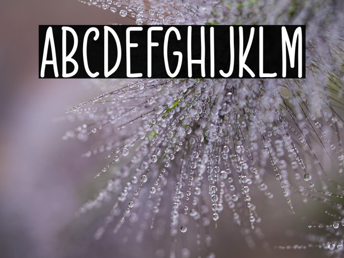 Rekobip - Free For Personal Use Example 1