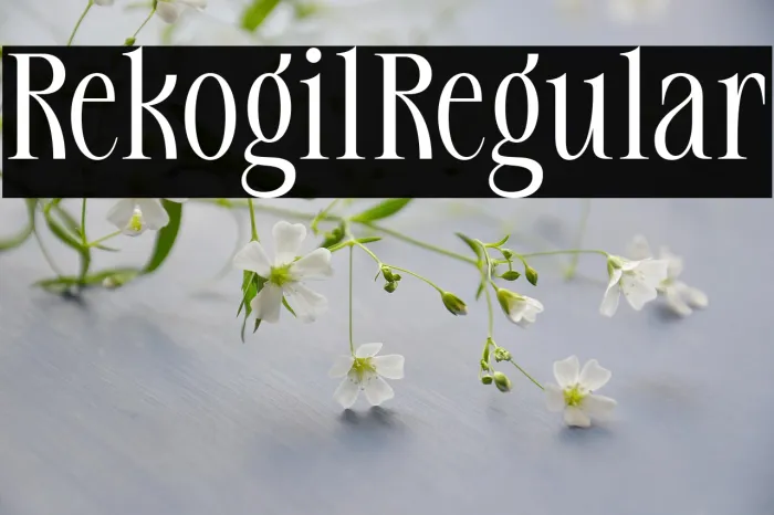 Rekogil Regular Example 1