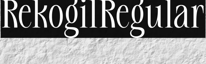 Rekogil Regular Example 2