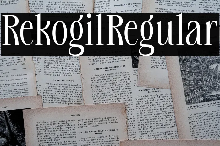 Rekogil Regular Example 3