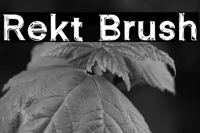 Rekt Brush Font examples