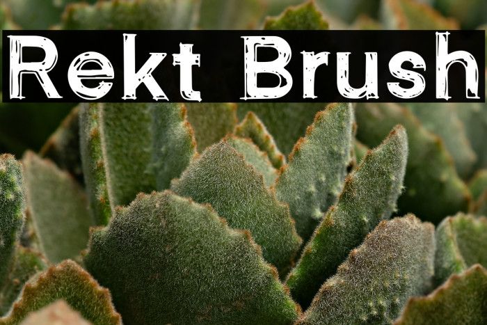 Rekt Brush Example 3