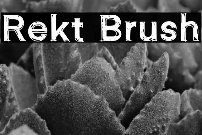Rekt Brush Font examples