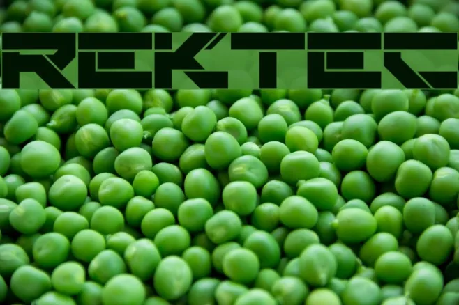 Rektec Example 1