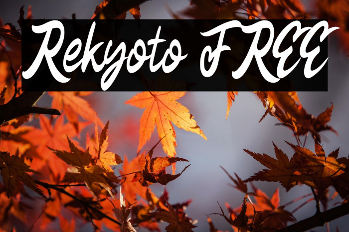 Rekyoto FREE Example 3
