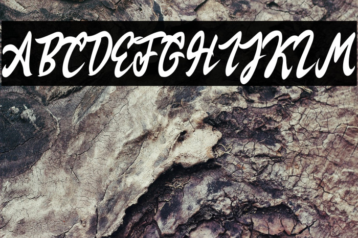 RekyotoFREE Example 2