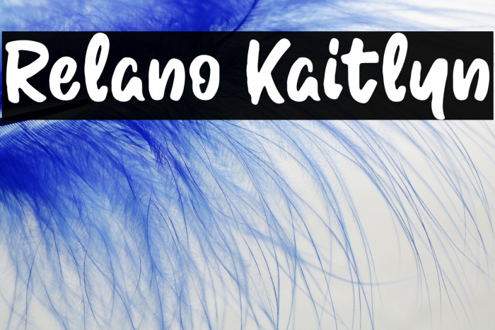 Relano Kaitlyn Example 1