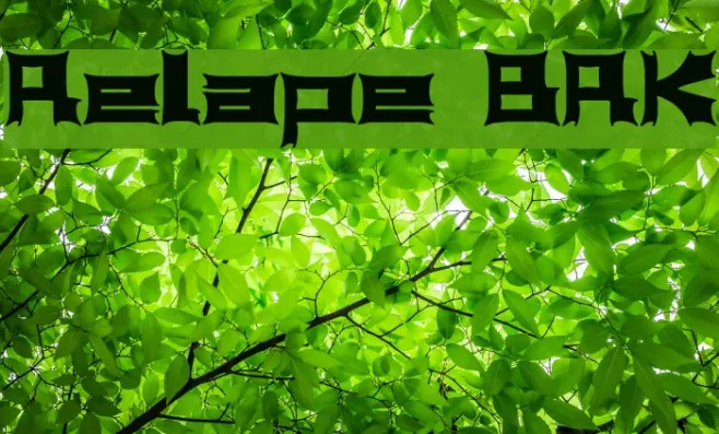 Relapse BRK Example 2