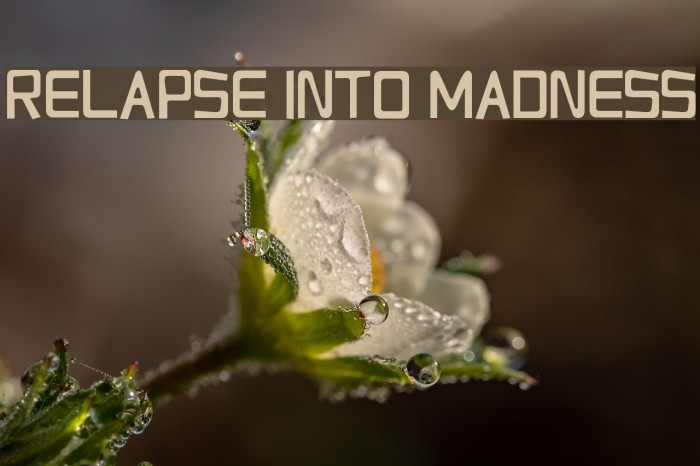 Relapse Into Madness Font examples