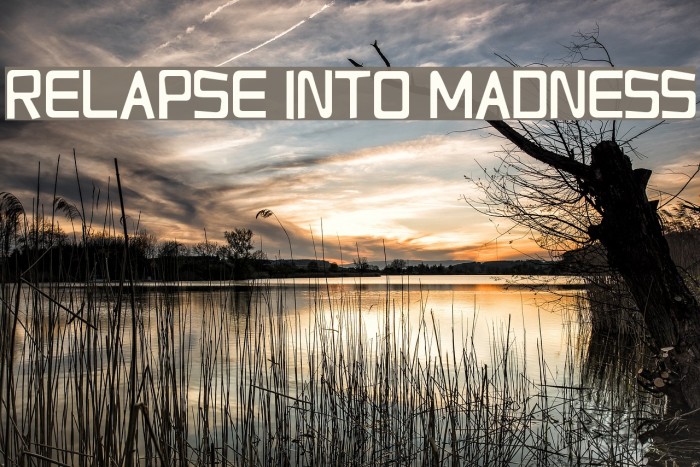 Relapse Into Madness Font examples