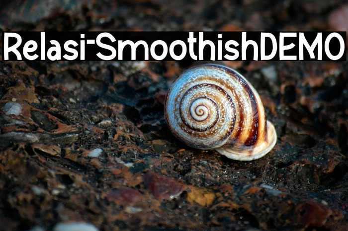 Relasi-SmoothishDEMO Example 1