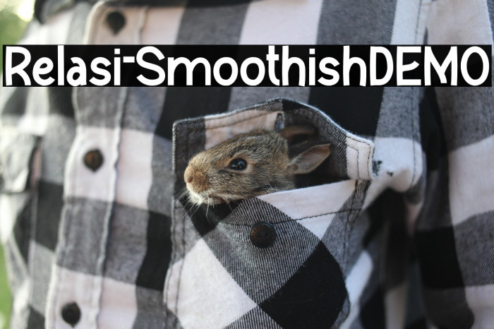Relasi-SmoothishDEMO Example 2