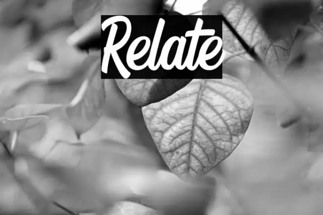 Relate Font examples