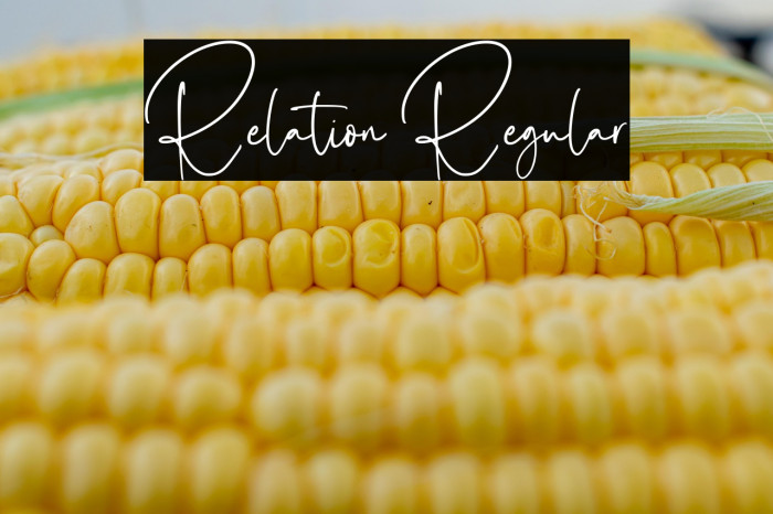 Relation Regular Example 2