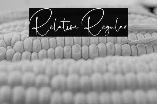 Relation Regular Font examples