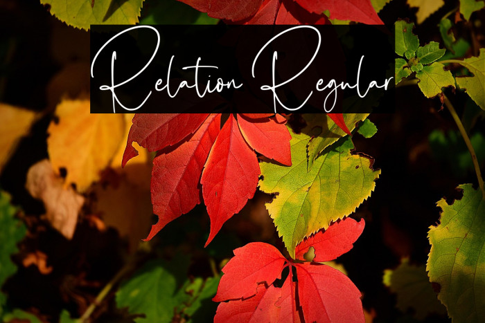 Relation Regular Example 3