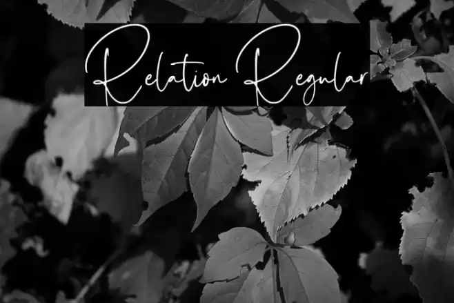 Relation Regular Font examples