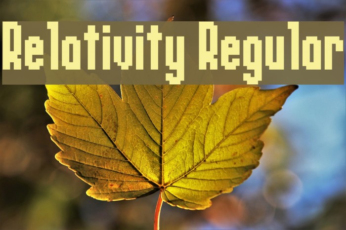 Relativity Regular Polices examples
