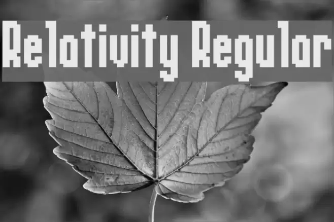 Relativity Regular Polices examples