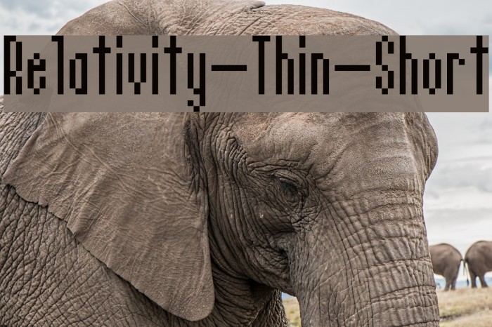 Relativity-Thin-Short Font examples