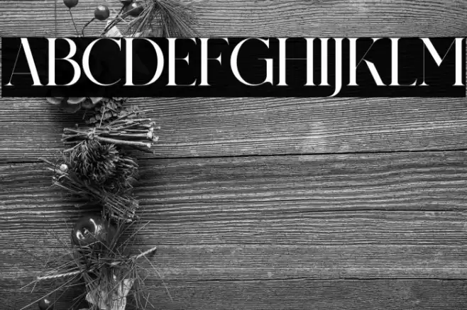 Relatta Saidnolia Serif फ़ॉन्ट examples