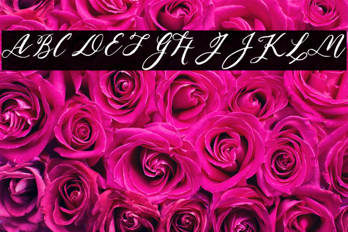 Relax Regular Example 1