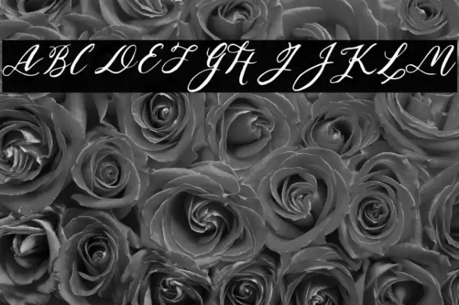 Relax Regular Font examples