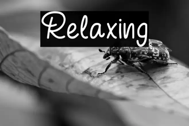Relaxing Font examples