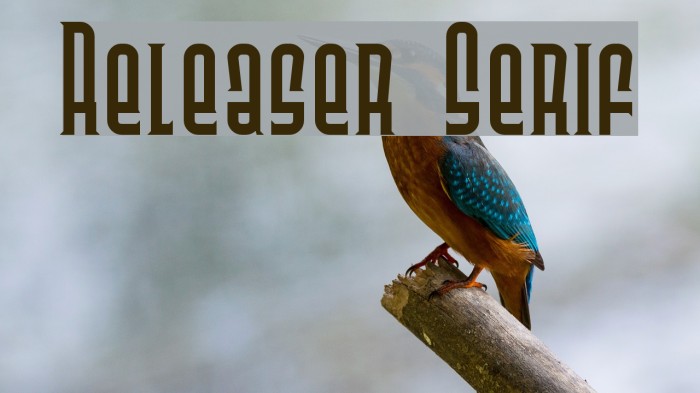 Releaser Serif Font examples
