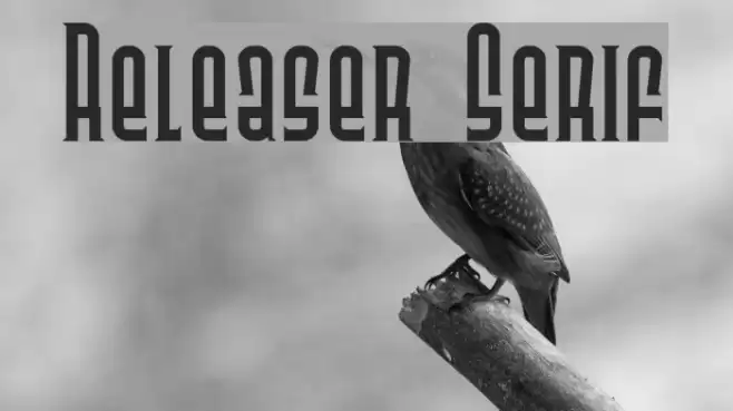 Releaser Serif Polices examples