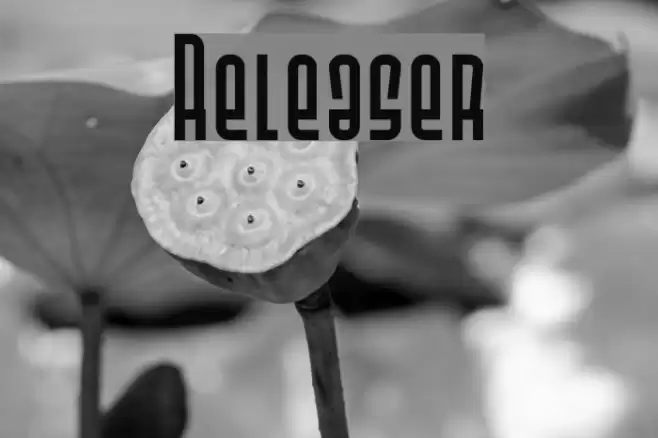 Releaser フォント examples