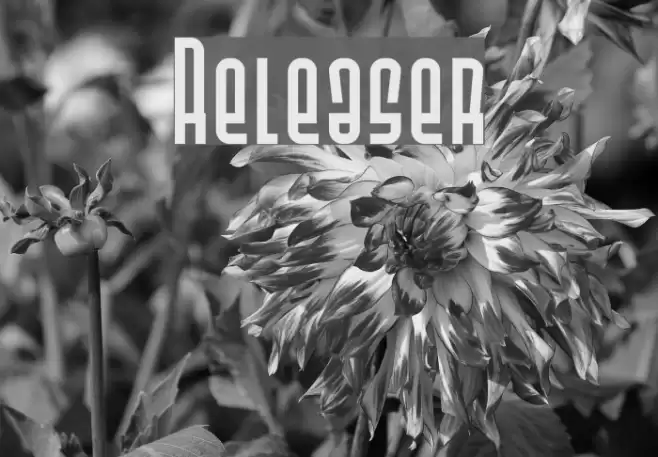 Releaser フォント examples