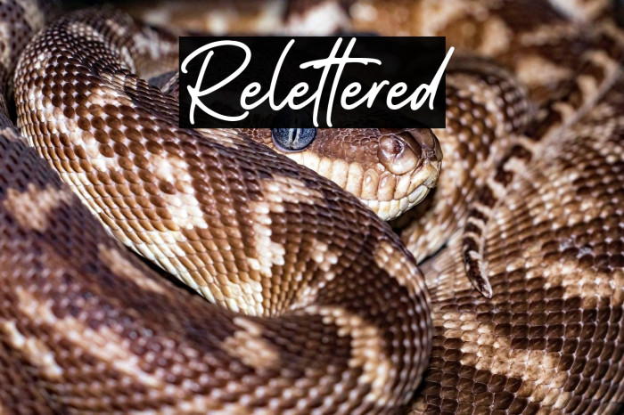 Relettered Example 1