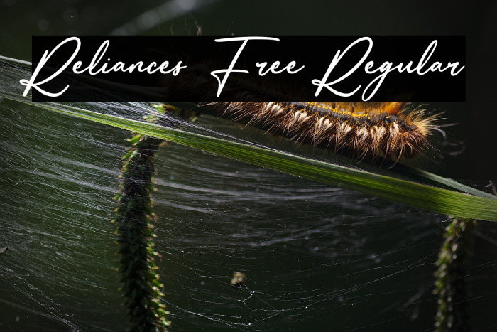 Reliances Free Regular Example 2