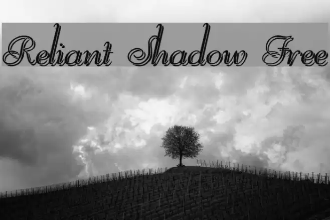 Reliant Shadow Free Font examples