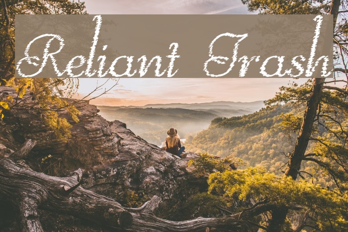 Reliant Trash Font examples