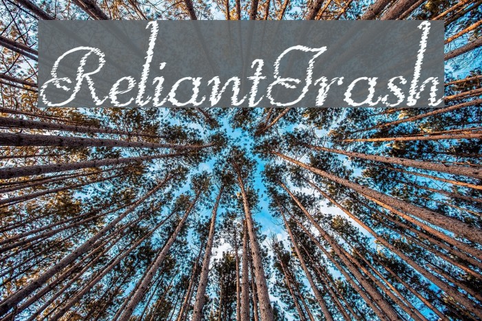 ReliantTrash Font examples