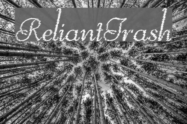ReliantTrash Font examples
