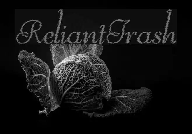 ReliantTrash Font examples