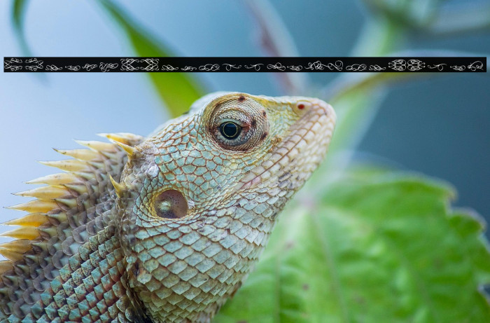 Relic_PersonalUseOnly Example 2