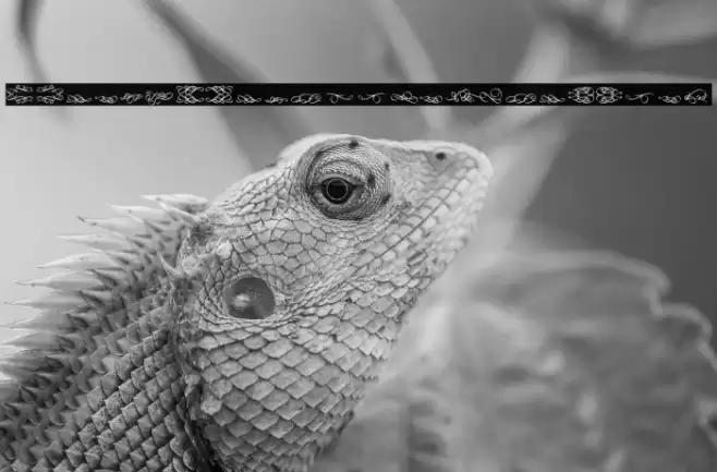 Relic_PersonalUseOnly Fuentes examples