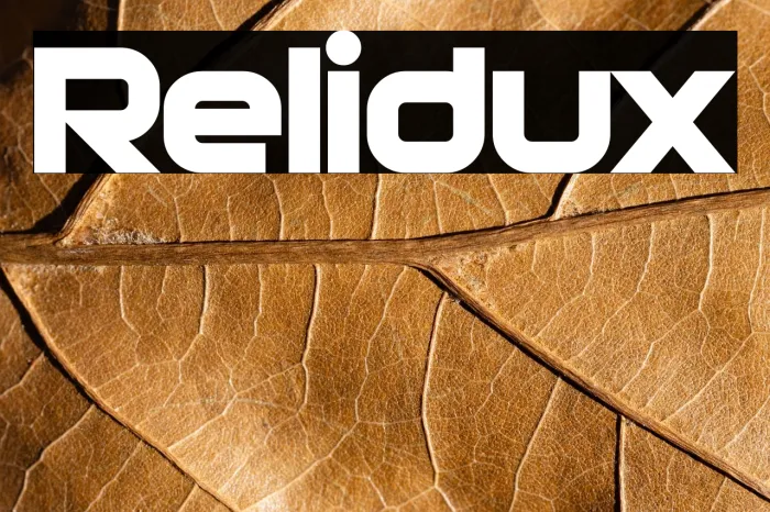 Relidux Example 1