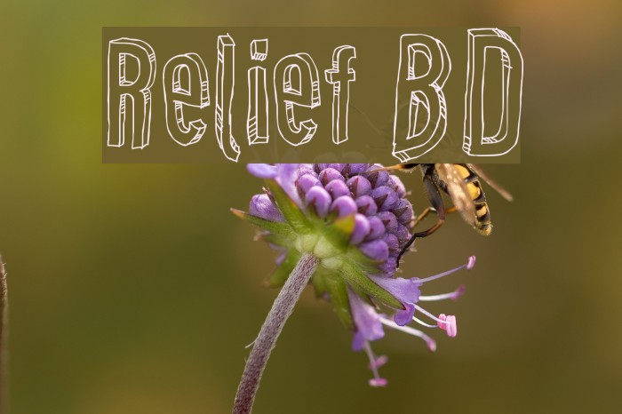 Relief BD Font examples