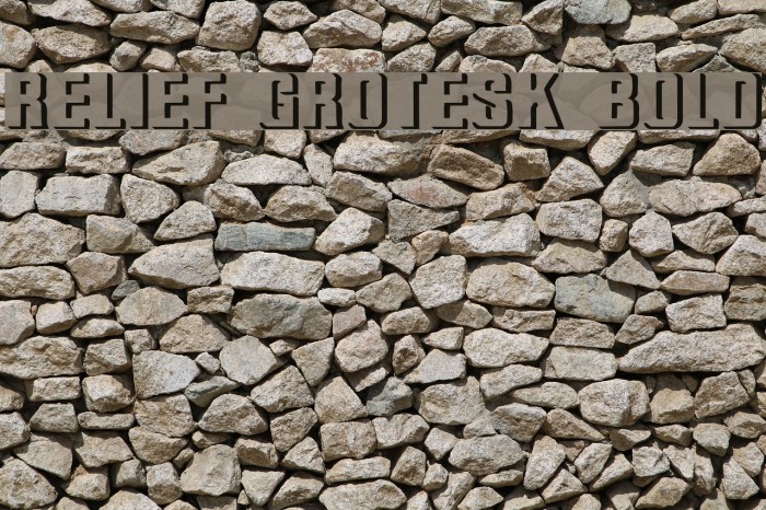 Relief Grotesk Bold Font examples