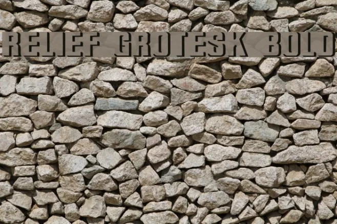Relief Grotesk Bold Example 1