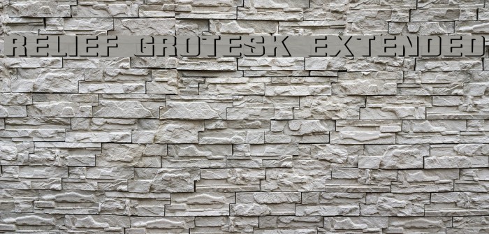 Relief Grotesk Extended Font examples